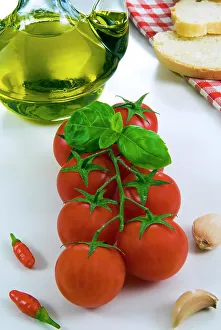 Bunch Prints: Vine tomato, tomato of Pachino (Province of Syracuse, Sicily, Italy)