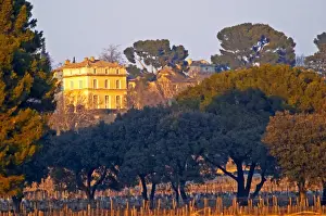 Pebble Prints: The vineyard and building of Chateau la Nerthe owned by Cafe Richard in Chateauneuf-du-Pape