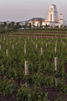 Vineyard and buildings of Chateau Junding winery, near Penglai, Shandong Province, China, Asia