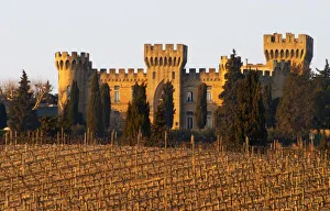 Back Ground Prints: The vineyard with syrah vines and the chateau des fines roches, Chateauneuf-du-Pape