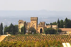The vineyard with syrah vines and the chateau des fines roches Chateauneuf du Pape Vaucluse