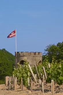 The vineyard, tower and flag of Chateau Cos d Estournel Saint Estephe Medoc Bordeaux