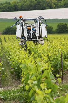 Images Dated 15th June 2005: A vineyard tractor that can be used for spraying and for mechanical weed removal