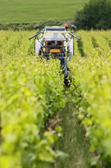 Tractor Prints: A vineyard tractor that can be used for spraying and for mechanical weed removal