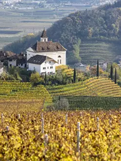 Viniculture Prints: Vineyards and church of Missian (Missiano) close to Eppan (Appiano) in the Ueberetsch
