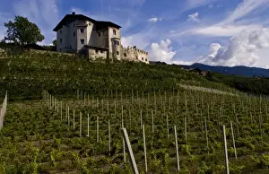 Bressanone Prints: Vineyards and homes in small village vineyard near Bressanone Italy in the Italian Alps