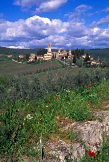 The vineyards surrounding the Tuscan village of Badia a Passignano, Italy