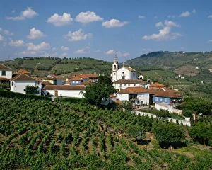 San Miguel Prints: Vineyards, Village of San Miguel, Douro Valley, Costa Verde, Portugal