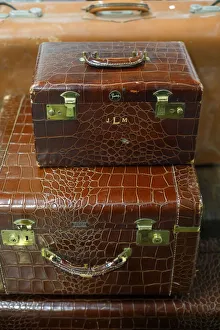 New York City Prints: Vintage alligator skin luggage
