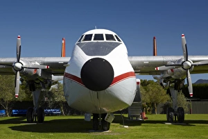 Plane Prints: Vintage Argosy cargo aircraft, Woodbourne, Blenheim, Marlborough, South Island, New