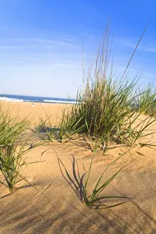 Brush Prints: Virginia Beach, VA, USA - Sand patterned by blowing winds surround tufts of grass at the beach