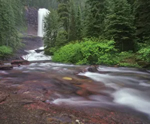 Virginia Falls Prints: Virginia Falls in Glacier National Park in Montana