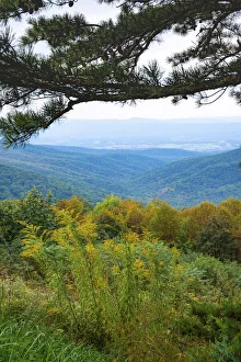 Great Smoky Mountain Prints: Vista, Shenandoah, Blue Ridge Parkway, Smoky Mountains, USA