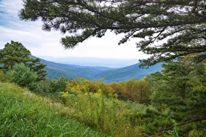 Images Dated 5th August 2021: Vista, Shenandoah, Blue Ridge Parkway, Smoky Mountains, USA