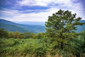 Images Dated 5th August 2021: Vista, Shenandoah, Blue Ridge Parkway, Smoky Mountains, USA