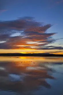 Images Dated 24th February 2009: Vivid sunrise over still pond at Bosque del Apache NWR in New Mexico