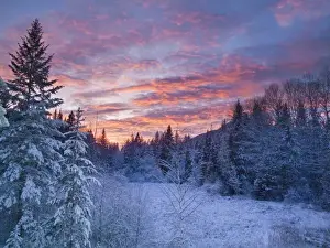 Images Dated 4th December 2008: Vivid sunset paints the sky above wintery meadow in the Flathead National Forest of Montana