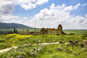 Capitol Prints: Volubilis, Morocco. Basilica and capitol Roman ruins, Volubilis