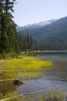 Images Dated 30th August 2007: WA, Alpine Lakes Wilderness, Lake Dorothy, large alpine lake surrounded by old forest
