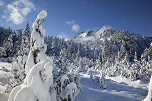 Images Dated 10th November 2010: WA, Alpine Lakes Wilderness, Snow Lake basin