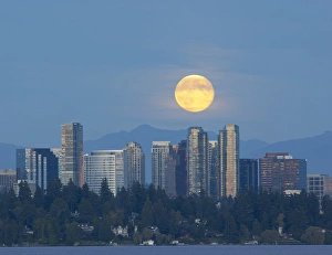 WA, Bellevue, Full moon raising over downtown skyline