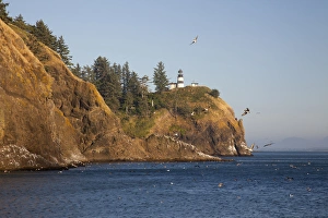 Images Dated 19th August 2011: WA, Cape Disappointment State Park, Cape Disappointment lighthouse; built 1856