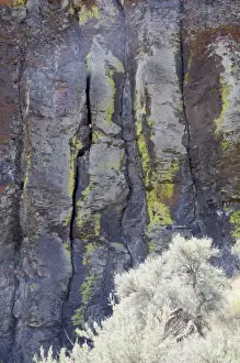 WA, George, Frenchman Coulee, Columnar basalt formation