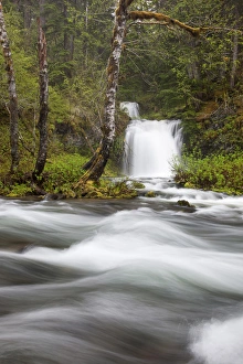 Images Dated 4th June 2012: WA, Gifford Pinchot National Forest, Twin Falls, Twin Falls Creek empties into