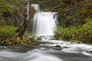 Images Dated 4th June 2012: WA, Gifford Pinchot National Forest, Twin Falls, Twin Falls Creek empties into