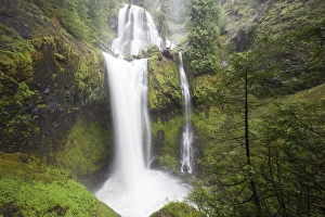 Images Dated 4th June 2012: WA, Gifford Pinchot National Forest, Falls Creek Falls, plunges 250 feet