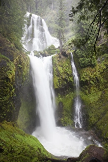 Images Dated 4th June 2012: WA, Gifford Pinchot National Forest, Falls Creek Falls, plunges 250 feet