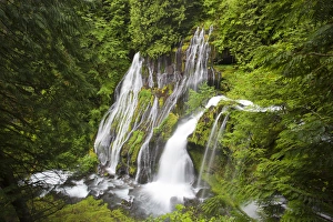 Images Dated 5th June 2012: WA, Gifford Pinchot National Forest, Panther Creek Falls, with a second waterfall