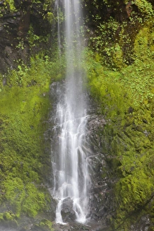 Images Dated 4th June 2012: WA, Gifford Pinchot National Forest, Soft cascade at Falls Creek Falls