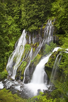 Images Dated 5th June 2012: WA, Gifford Pinchot National Forest, Panther Creek Falls, with a second waterfall