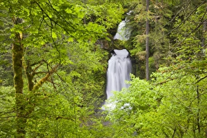 Images Dated 4th June 2012: WA, Gifford Pinchot National Forest, Curly Creek Falls, arch formed from water flow