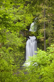 Images Dated 4th June 2012: WA, Gifford Pinchot National Forest, Curly Creek Falls, arch formed from water flow