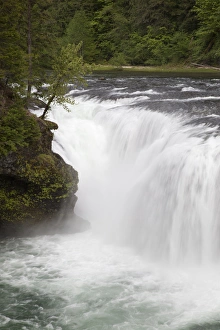 Images Dated 3rd June 2012: WA, Gifford Pinchot National Forest, Lower Lewis Falls, Lewis River cascades over