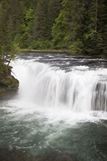Images Dated 3rd June 2012: WA, Gifford Pinchot National Forest, Lower Lewis Falls, Lewis River cascades over
