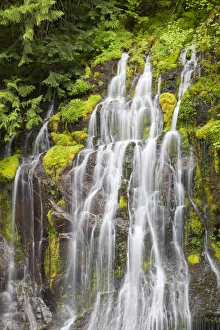Images Dated 5th June 2012: WA, Gifford Pinchot National Forest, Panther Creek Falls
