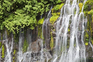 WA, Gifford Pinchot National Forest, Panther Creek Falls