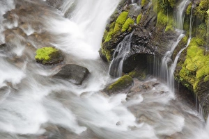 Images Dated 5th June 2012: WA, Gifford Pinchot National Forest, Panther Creek, and base of Panther Falls
