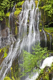 Images Dated 5th June 2012: WA, Gifford Pinchot National Forest, Panther Creek Falls, and Big Creek