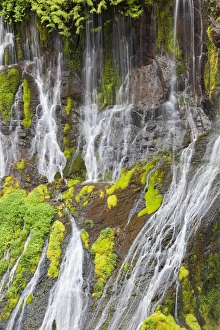 Images Dated 5th June 2012: WA, Gifford Pinchot National Forest, Panther Creek Falls