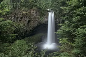 Big Creek Prints: WA, Gifford Pinchot NF, Big Creek Falls, 125 falls