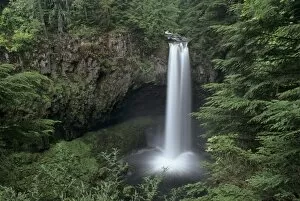 WA, Gifford Pinchot NF, Big Creek Falls, 125 falls