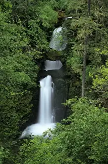Natural Arch Prints: WA, Gifford Pinchot NF, Curly Creek Falls and natural arch formed from water flow