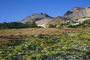 Images Dated 19th July 2006: WA, Goat Rocks Wilderness, Goat Rocks and Snowgrass Flat with pink mountain heather