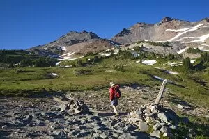 Images Dated 19th July 2006: WA, Goat Rocks Wilderness, Goat Rocks and Snowgrass Flat with Pacific Crest Trail
