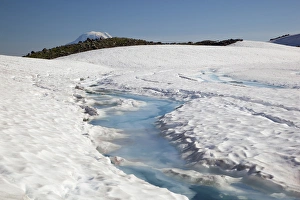 Public Lands Prints: WA, Goat Rocks Wilderness, Melt water on snow and ice covered Goat Lake, with top