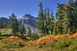 Recreation Area Prints: WA, Heather Meadows RA, meadow with Table Mountain